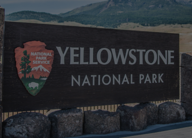 Indoor and outdoor signage